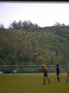 0DIA1981 RAVAKAMP EN ZEIST C1